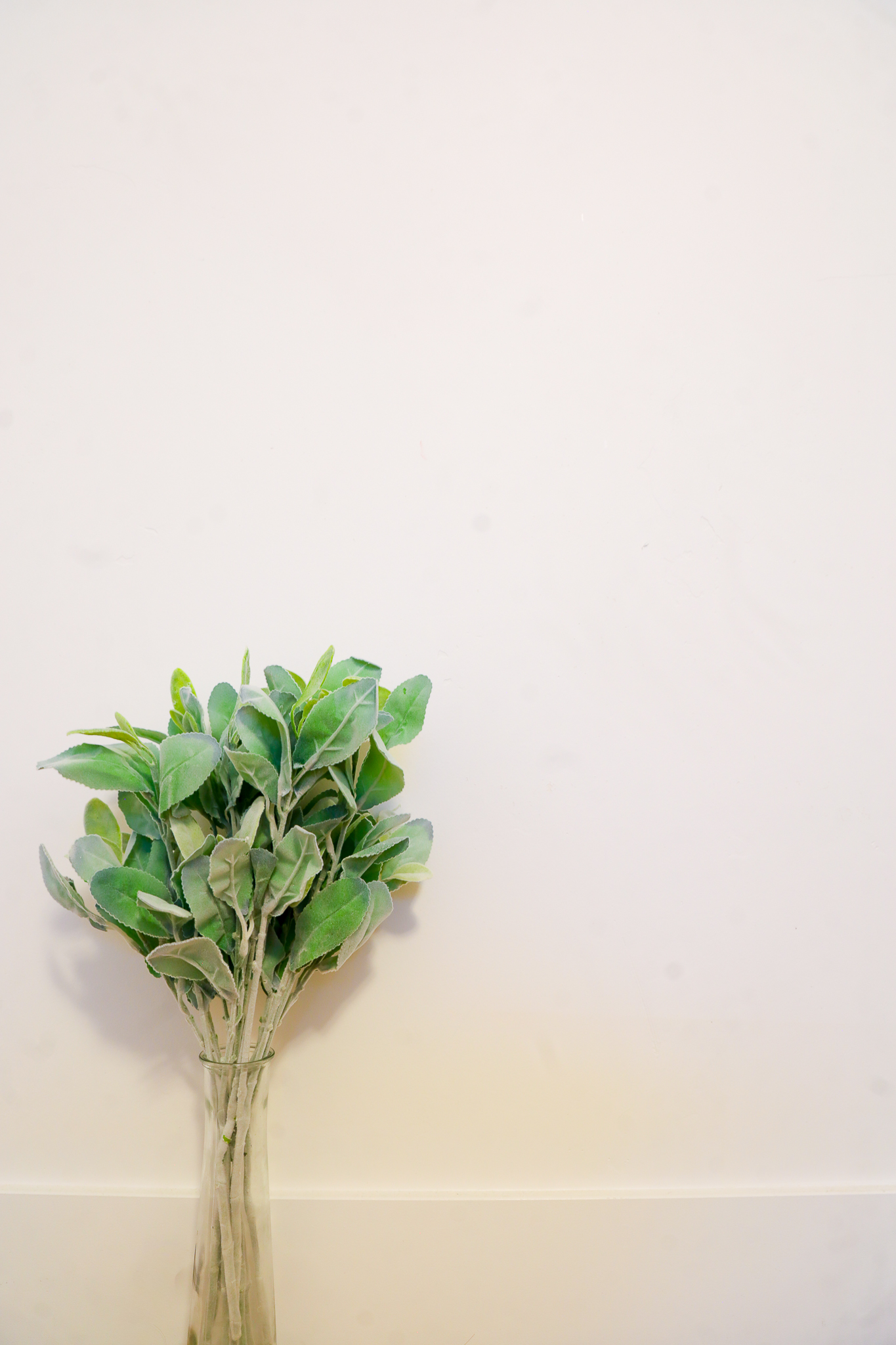 Greenery